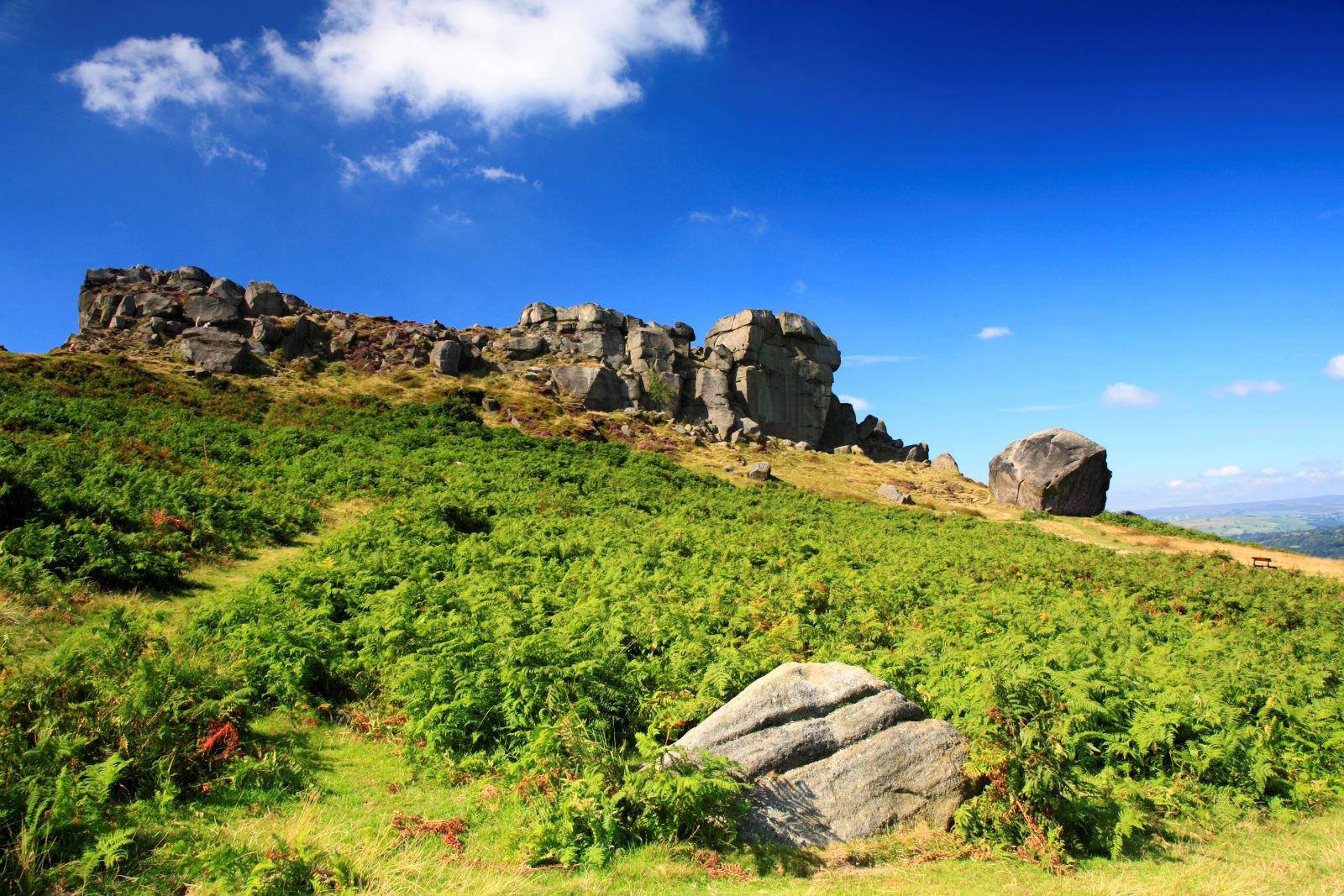 Ilkley Moor
